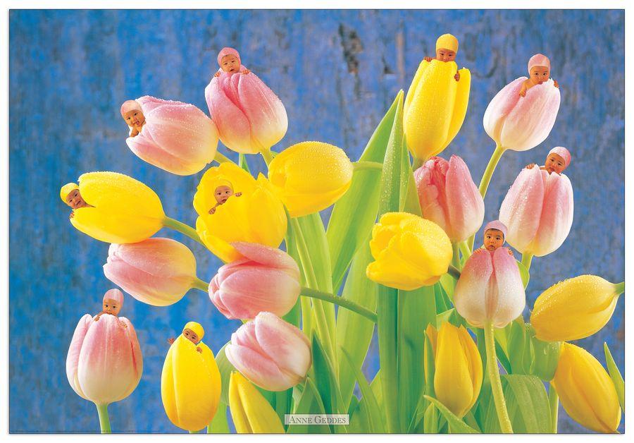 artopweb Geddes - Senza Titolo Decorative MDF Panel (99x68cm)