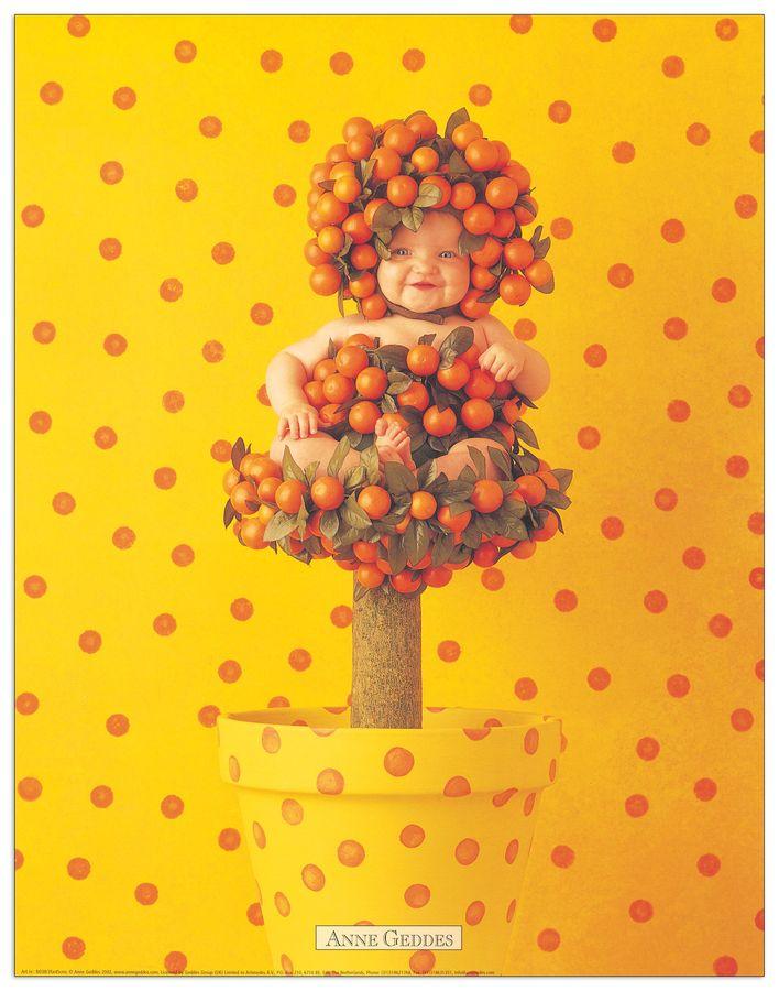 artopweb Geddes - Untitled Decorative MDF Panel (35x45cm)