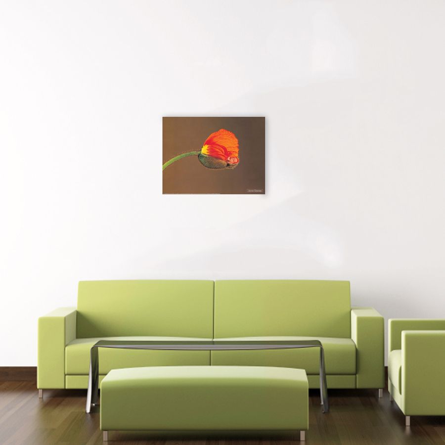 Artopweb Geddes - Untitled Decorative MDF Panel (40x30cm)