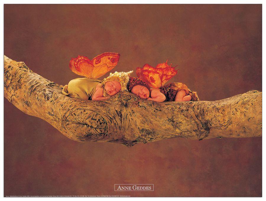 artopweb Geddes - Untitled Decorative MDF Panel (40x30cm)