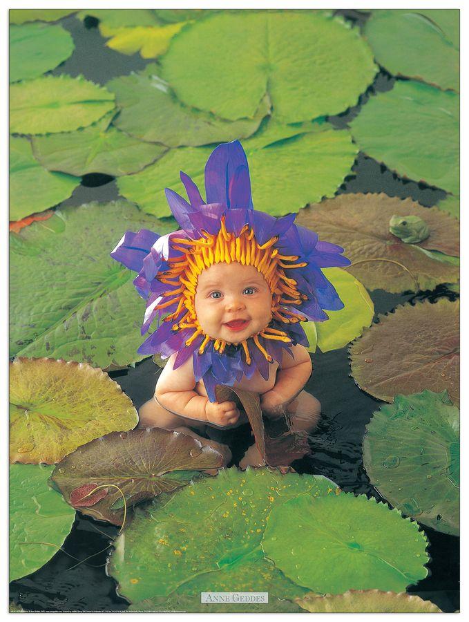 artopweb Geddes - Untitled Decorative MDF Panel (60x80cm)