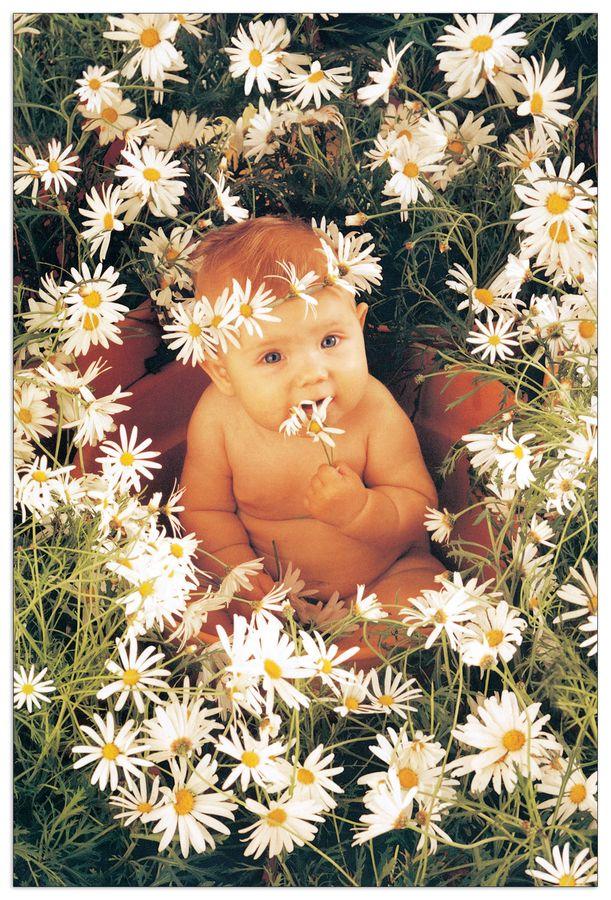 artopweb Geddes - Untitled Decorative MDF Panel (60x90cm)