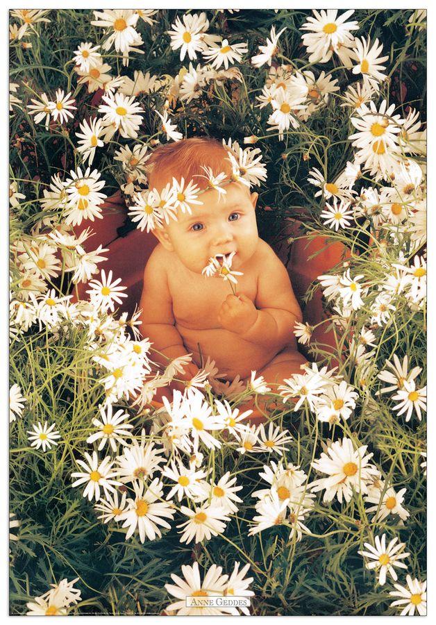 artopweb Geddes - Untitled Decorative MDF Panel (68x99cm)