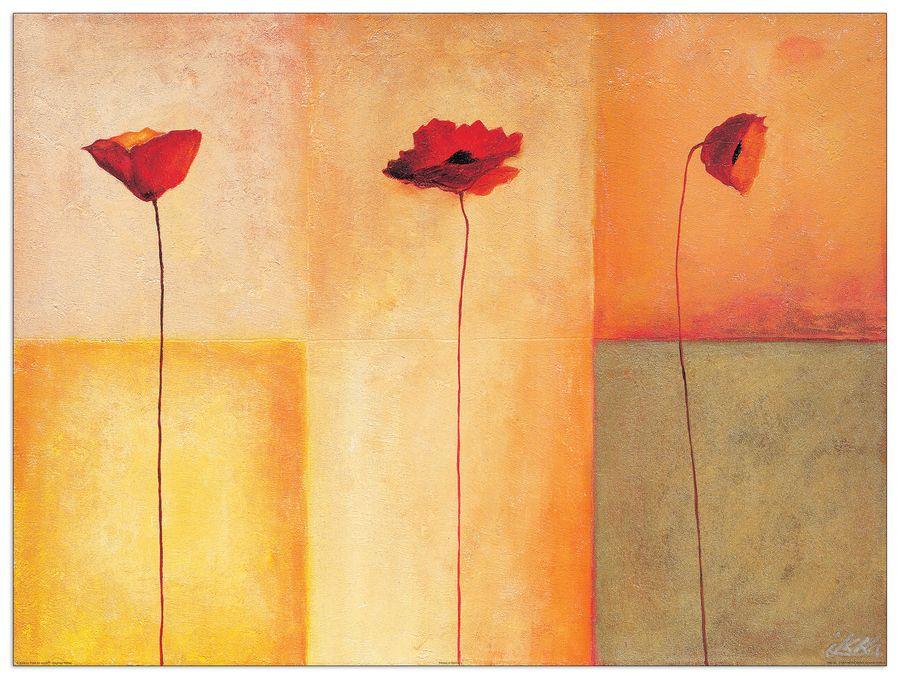 artopweb Heinemann - Dreierlei Mohn II Decorative MDF Panel (80x60cm)