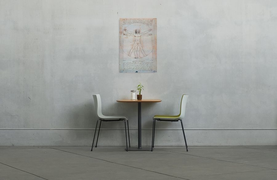 Artopweb Leonardo - Uomo Vitruviano Decorative MDF Panel (66x95cm)