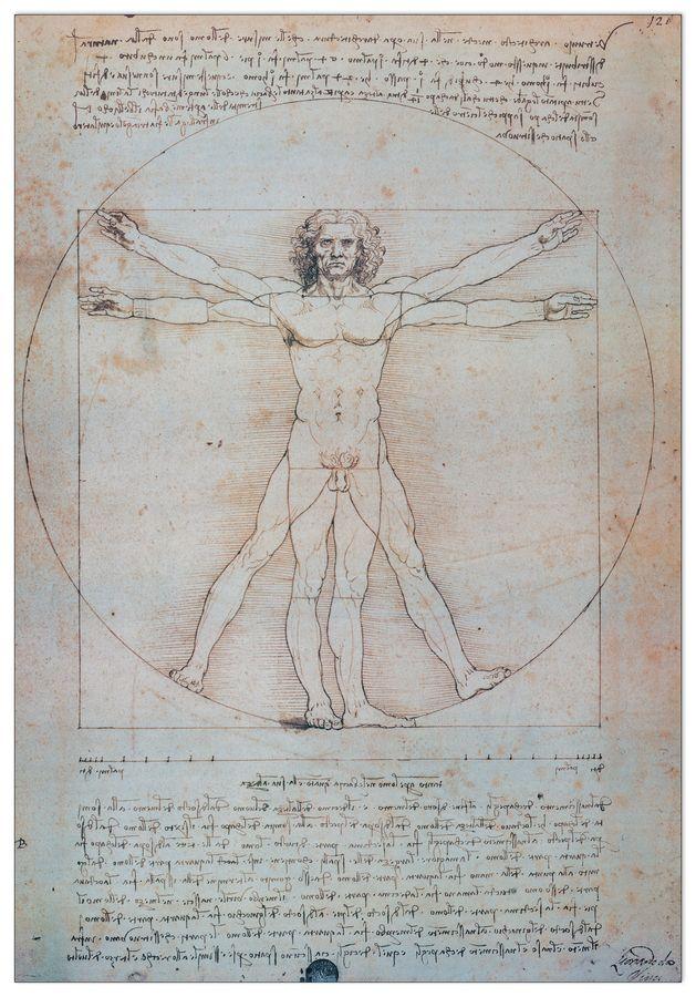 artopweb Leonardo - Uomo Vitruviano Decorative MDF Panel (66x95cm)