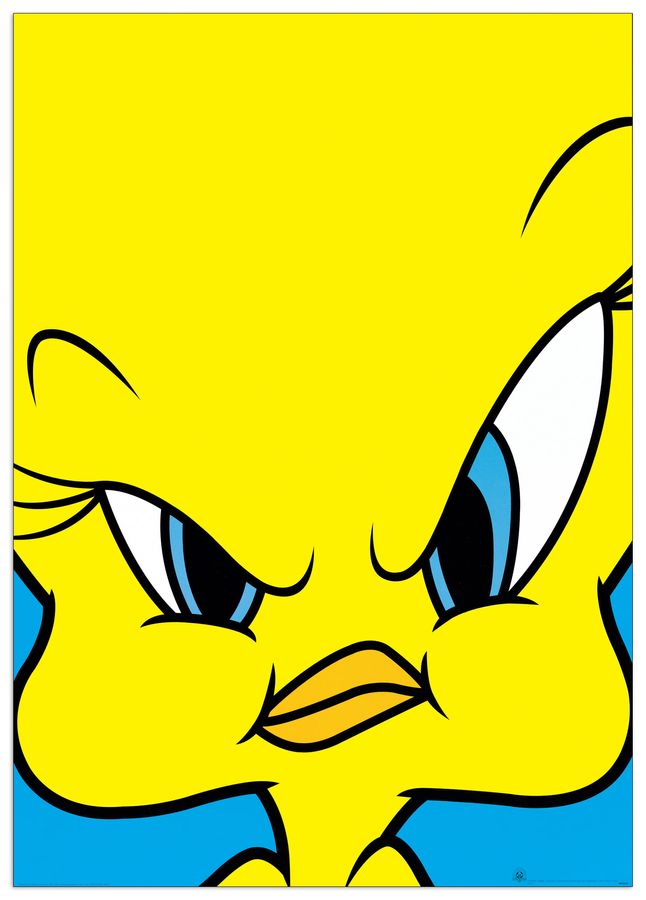 artopweb Looney Tunes - Tweety Decorative MDF Panel (60x90cm)