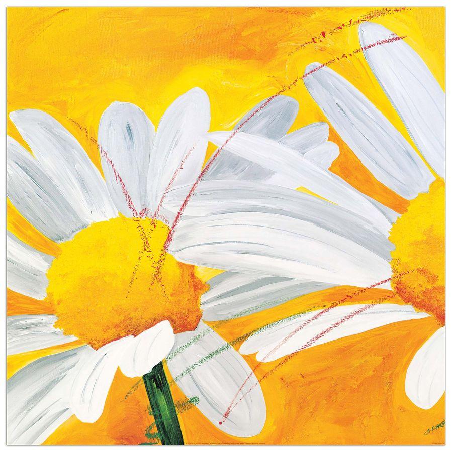 artopweb Muf - Wish You Were Here I Decorative MDF Panel (70x70cm)