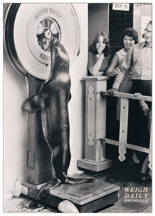 artopweb Neri - Weight Daily Drysdale Decorative MDF Panel (48x67cm)