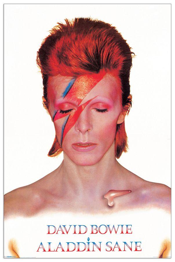 artopweb Null - David Bowie Aladdin Sane Decorative MDF Panel (60x90cm)