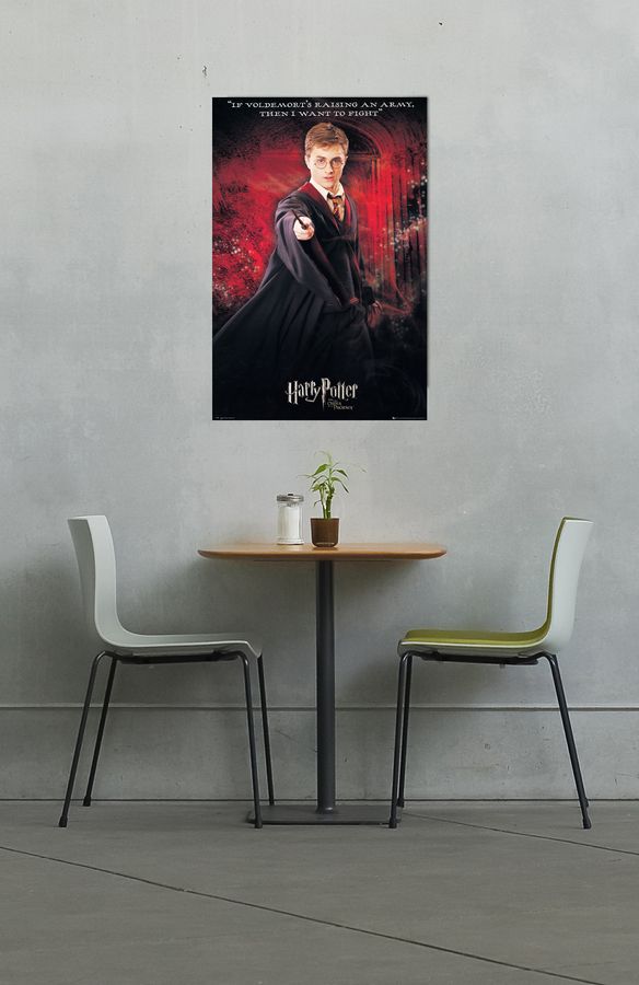 Artopweb Null - Harry Potter Decorative MDF Panel (60x90cm)