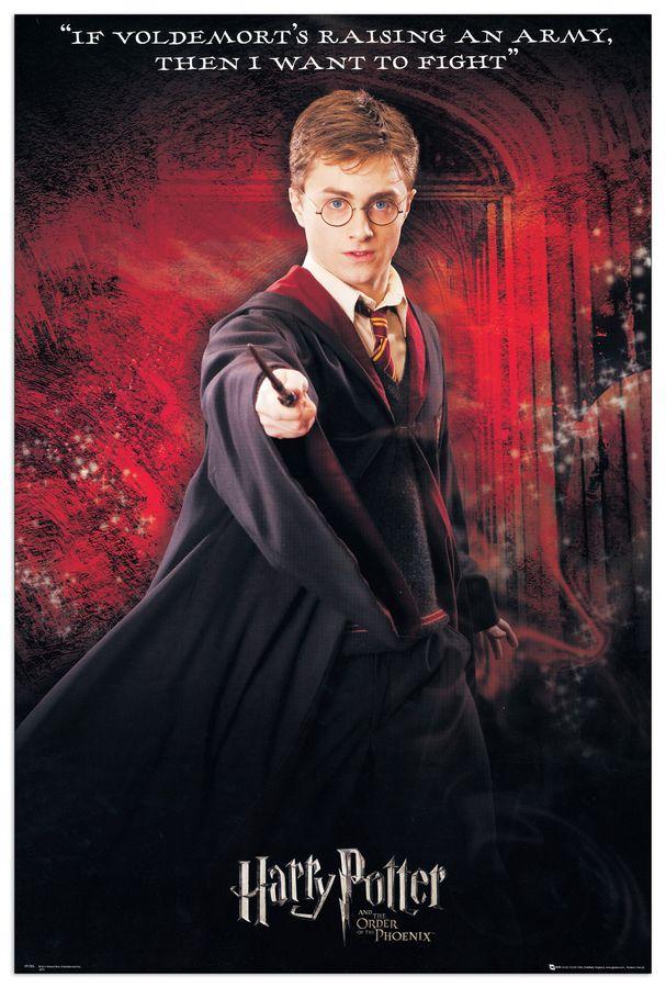 artopweb Null - Harry Potter Decorative MDF Panel (60x90cm)