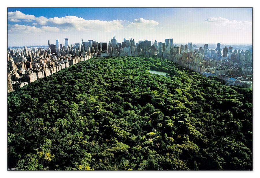 artopweb Null - New York Central Park Decorative MDF Panel (90x60cm)