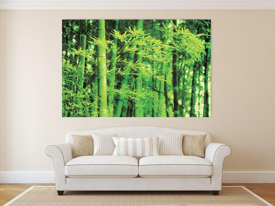 Artopweb Photography Collection - Bamboo In Spring Decorative MDF Panel (175x115cm)