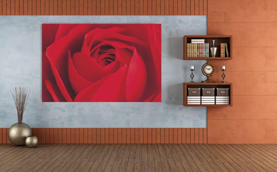 Artopweb Photography Collection - L Important C'Est La Rose Decorative MDF Panel (175x115cm)