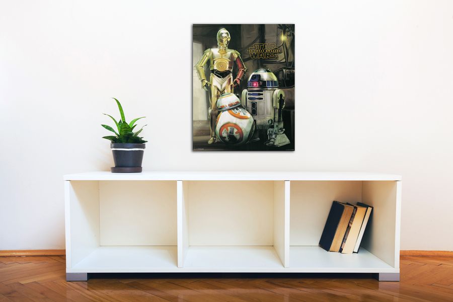 Artopweb Star Wars Episode VII Droids Decorative MDF Panel (40x50cm)