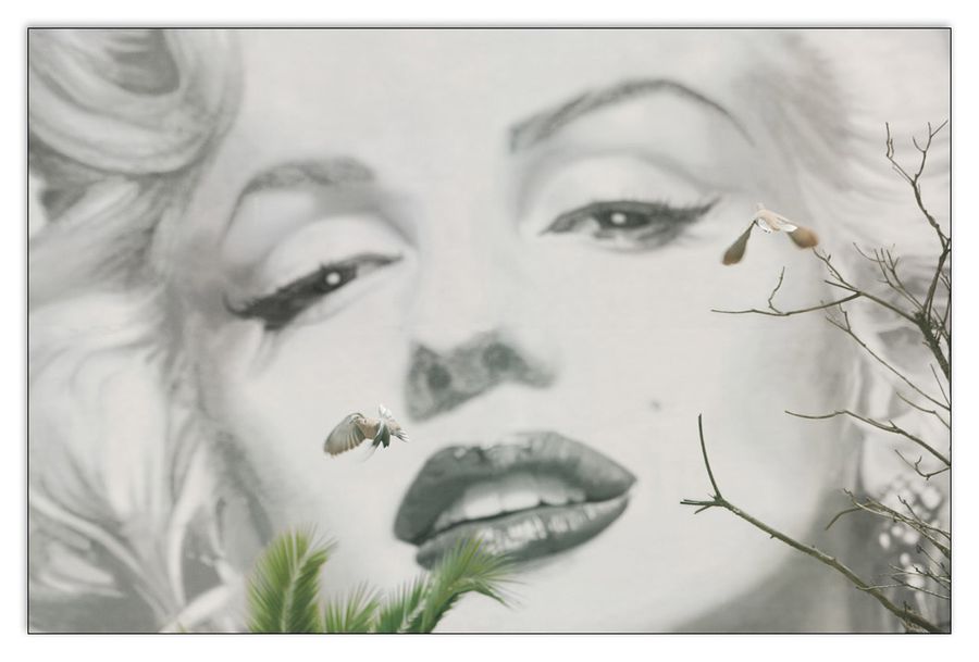 artopweb Valery Hache - Marilyn A Cannes Decorative MDF Panel (175x115cm)