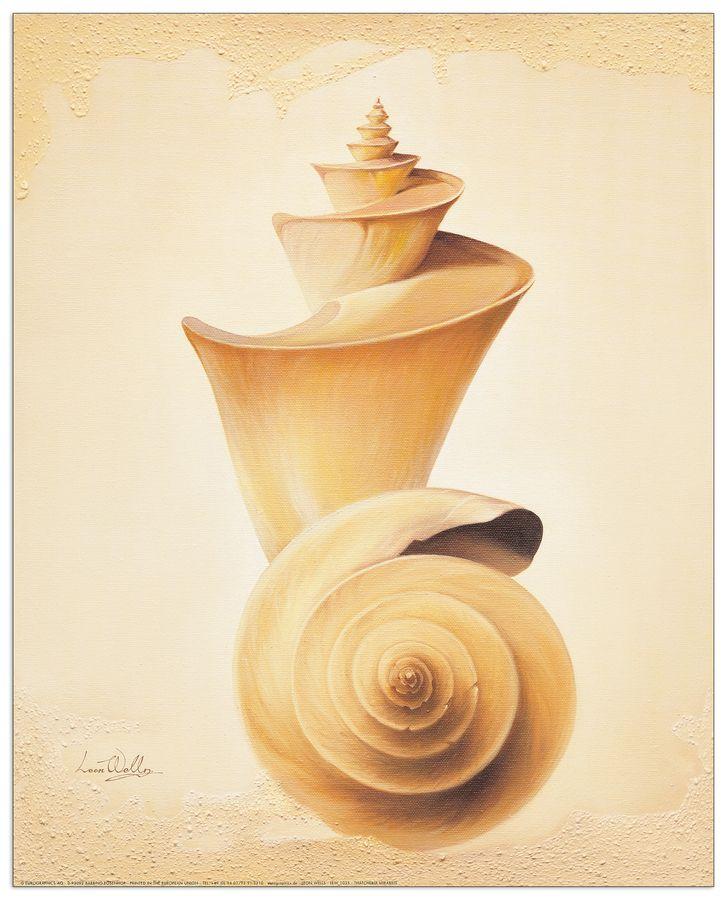artopweb Welles - Thatcheria Shell Decorative MDF Panel (40x50cm)