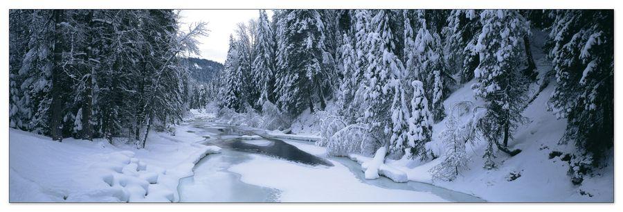 artopweb World Panoramic - U.S.A. Panoramic Decorative MDF Panel (120x38cm)