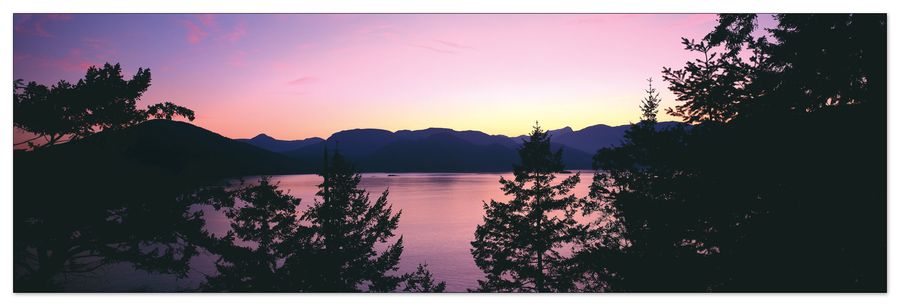 artopweb World Panoramic - U.S.A. Panoramic Decorative MDF Panel (120x38cm)