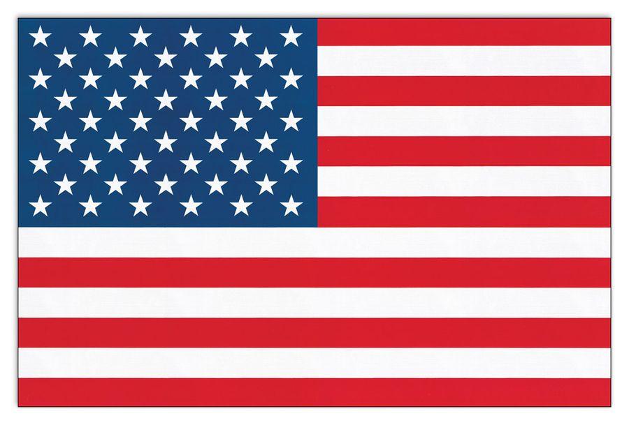 artopweb Wyndham Boulter - Stars And Stripes Decorative MDF Panel (175x115cm)