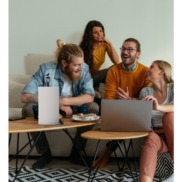 Artori Design Cat Vs. Crow – Paper Towel Holder – Black