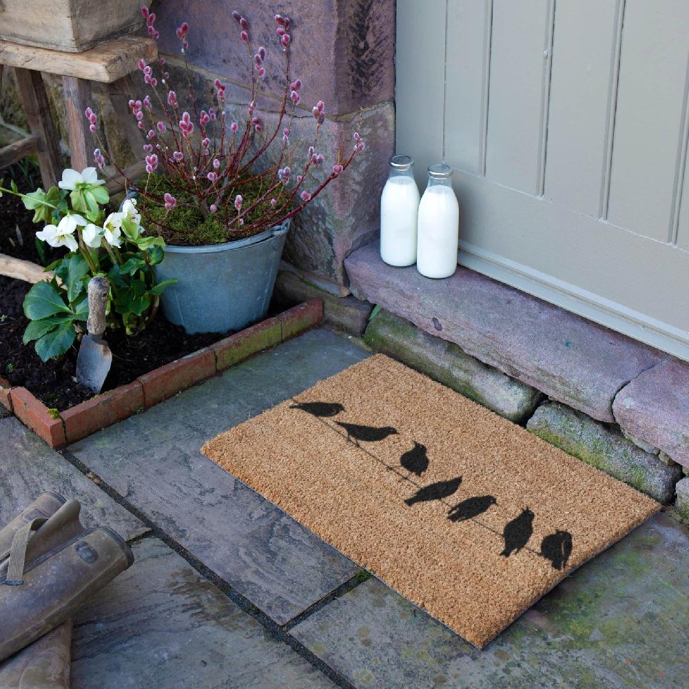Artsy Doormats Birds On Wire Doormat (60 X 40cm)