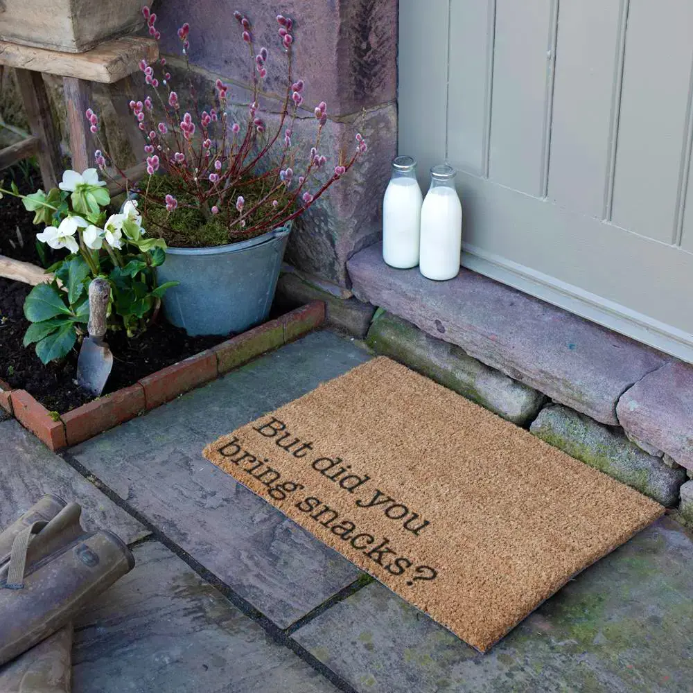 Artsy Doormats But Did You Bring Snacks Doormat