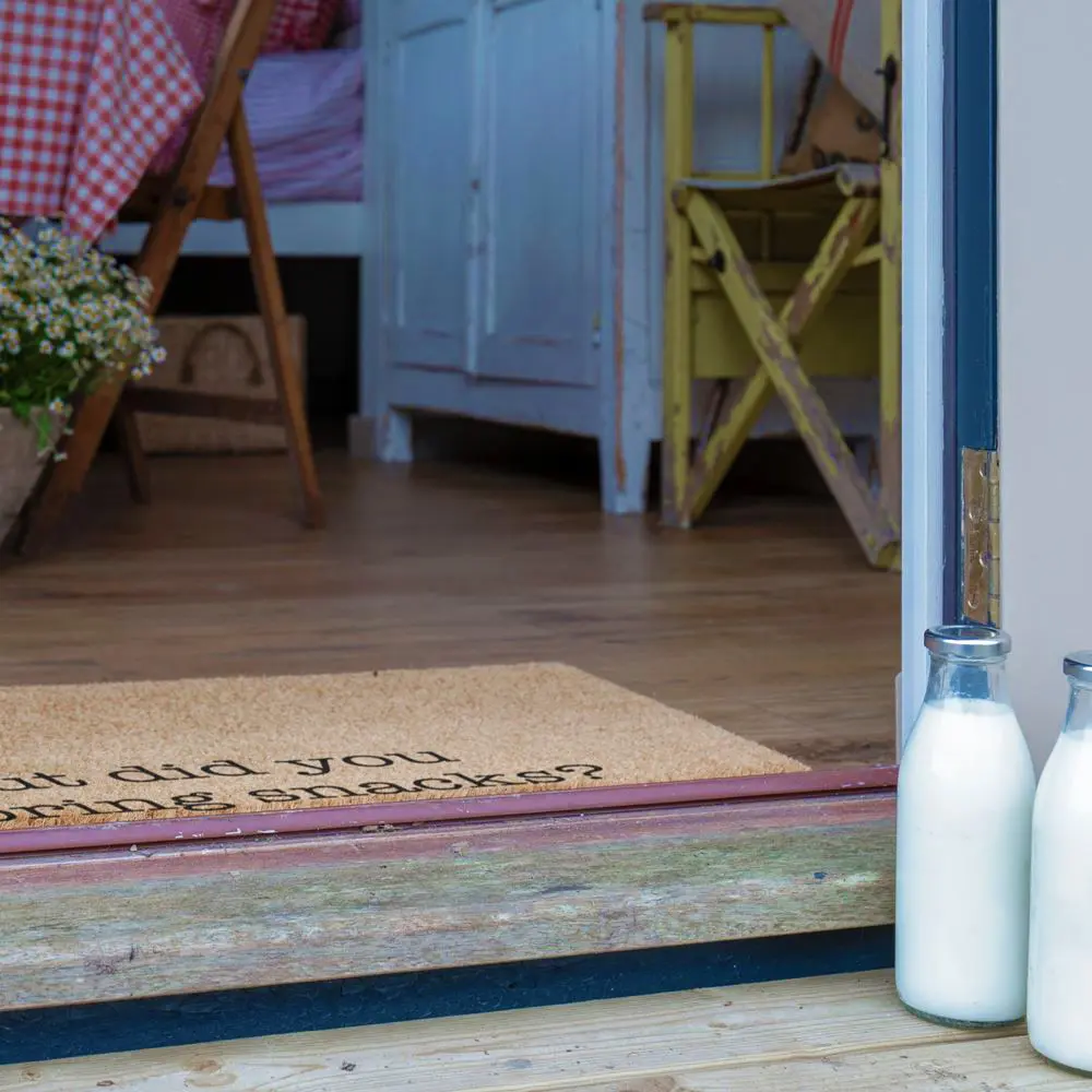 Artsy Doormats But Did You Bring Snacks Doormat