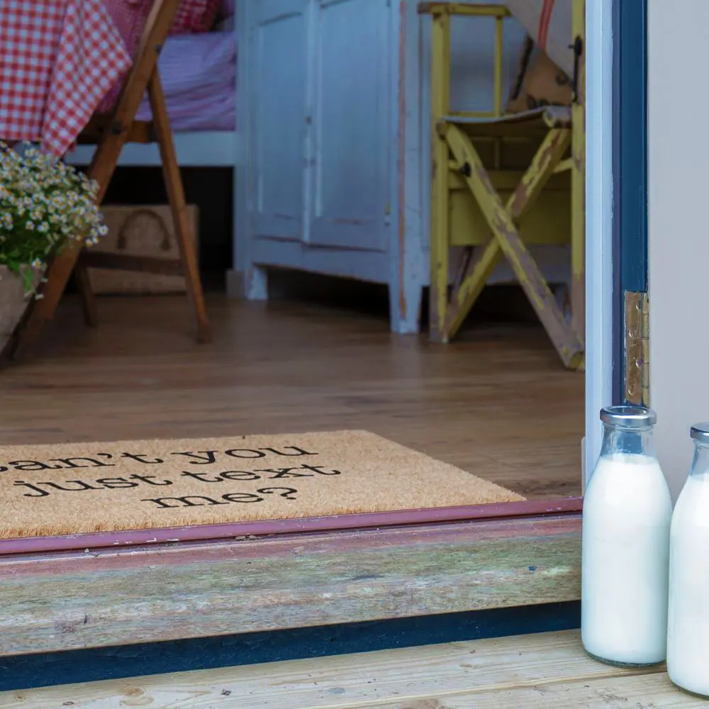 Artsy Doormats Can’t You Just Text Me Doormat