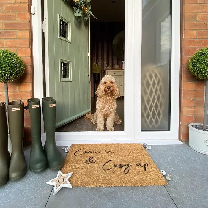 Artsy Doormats Come In And Cosy Up Doormat