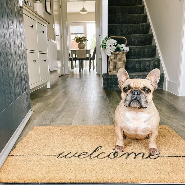 Artsy Doormats Country Large Welscribble Doormat