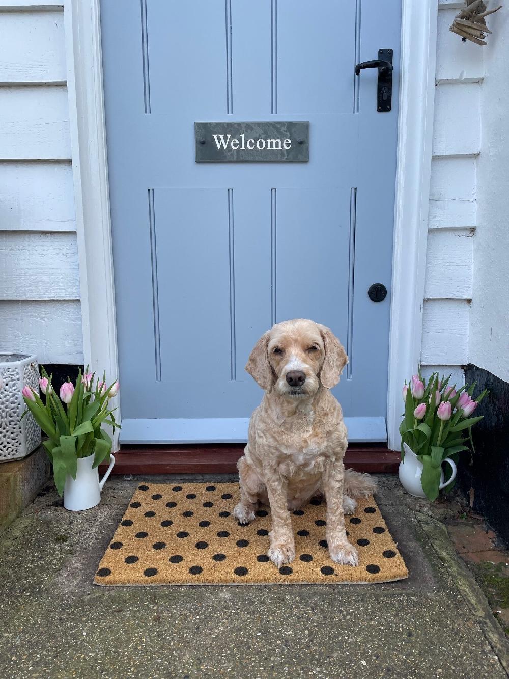 Artsy Doormats Dots Doormat