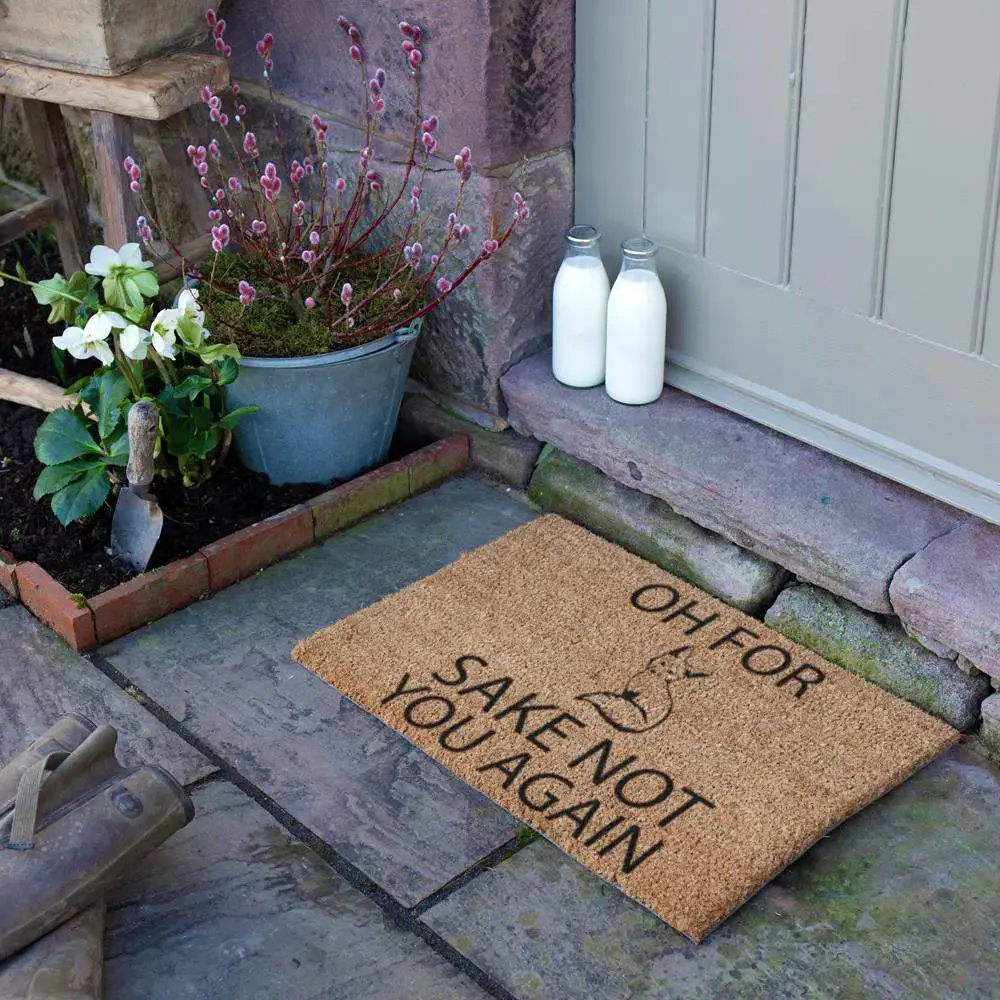 Artsy Doormats For Fox Sake Doormat