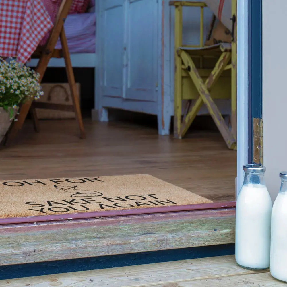 Artsy Doormats For Fox Sake Doormat