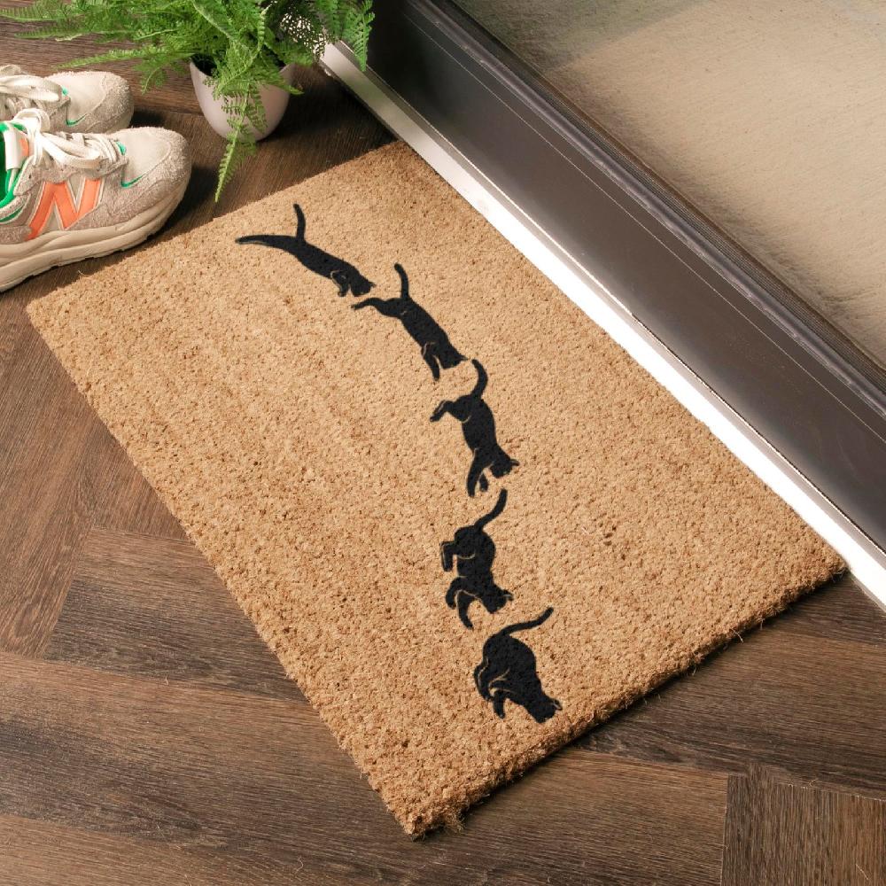 Artsy Doormats Jumping Cats Doormat (60 X 40cm)