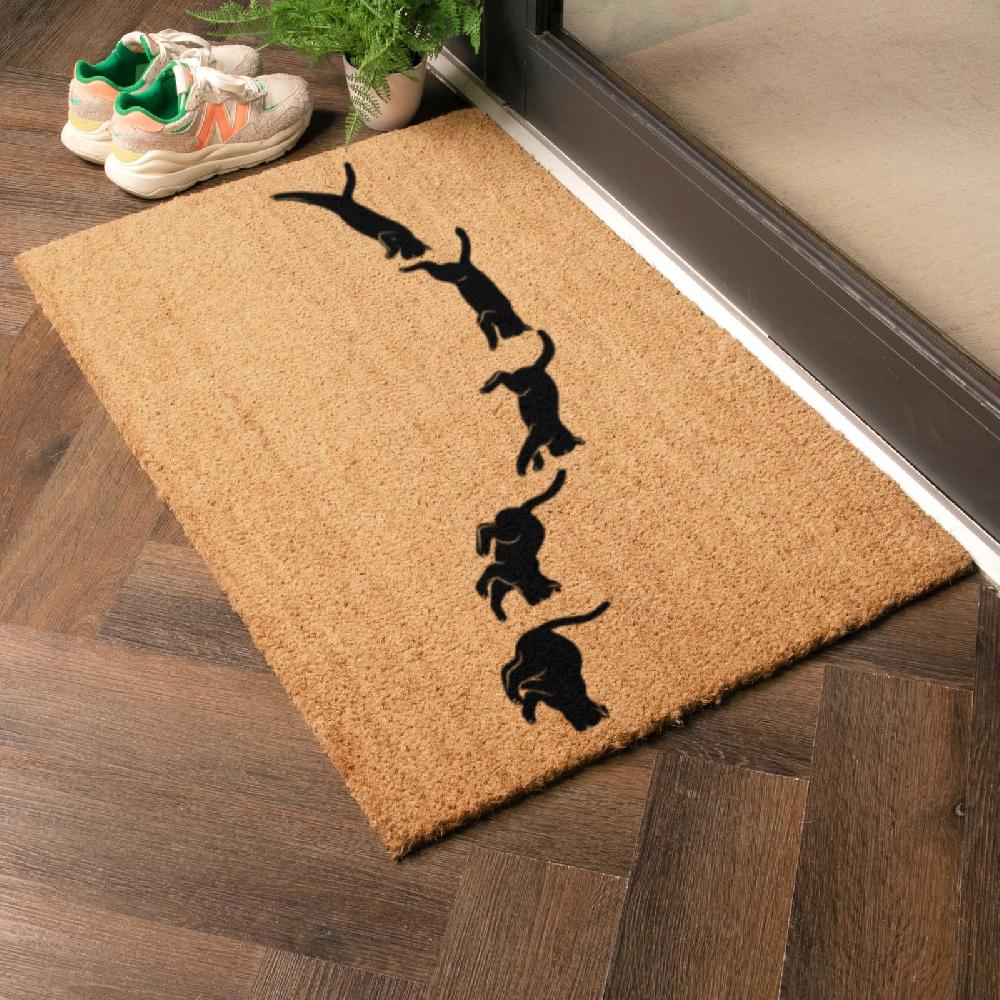 Artsy Doormats Jumping Cats Doormat (90 X 60cm)