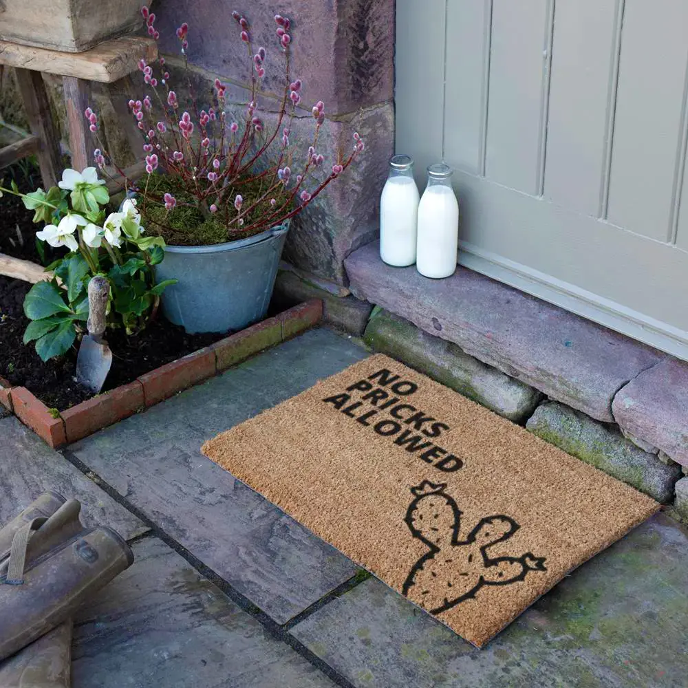 Artsy Doormats No Pricks Allowed Cactus Doormat