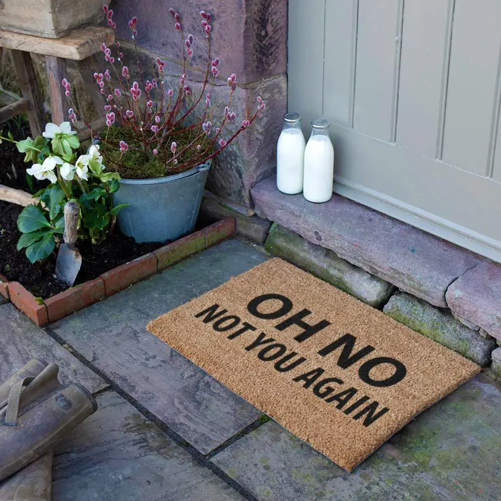 Artsy Doormats Not You Again Doormat