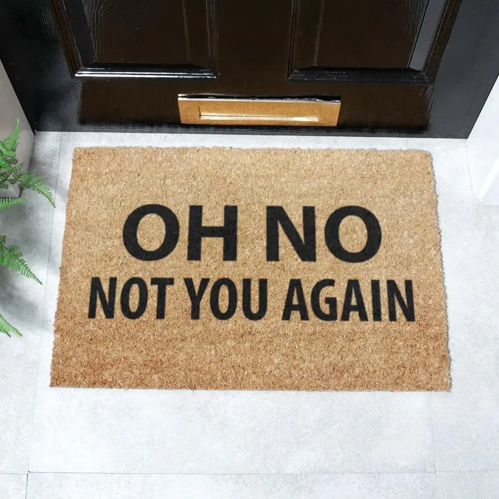 artsy doormats Not You Again Doormat