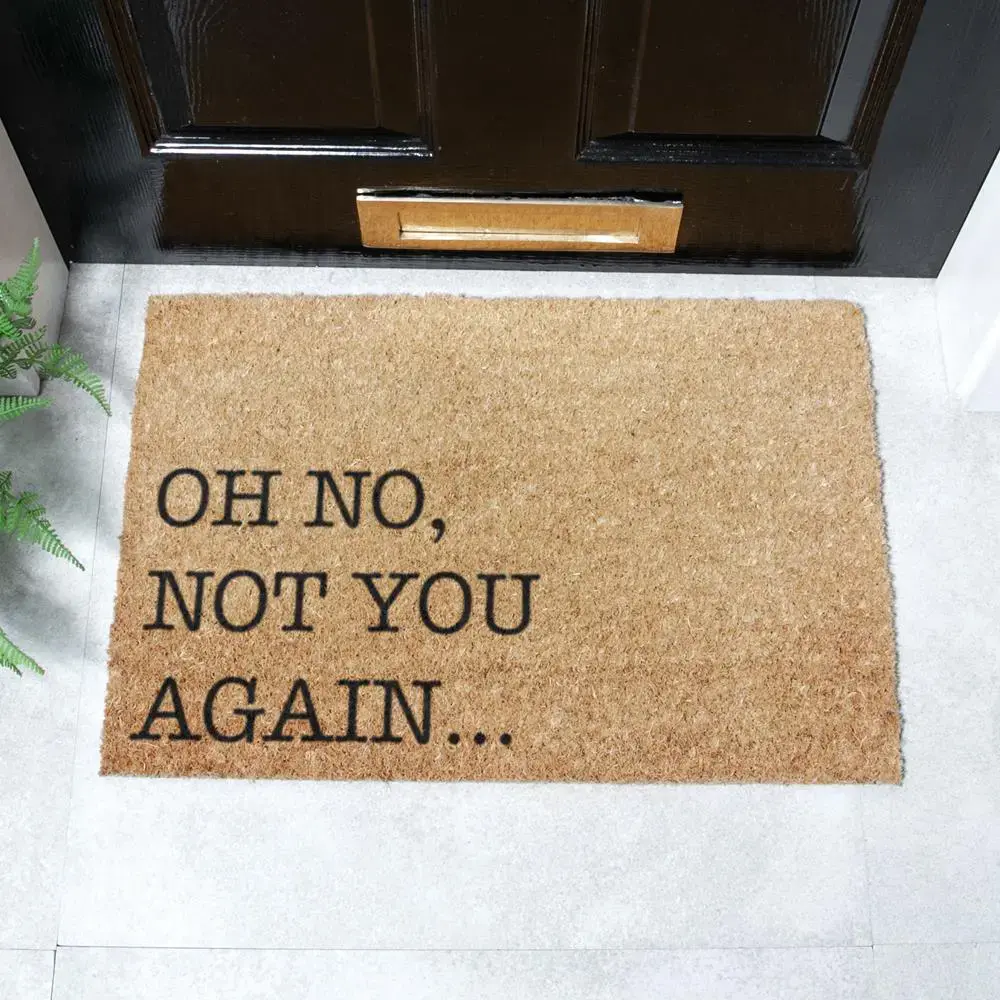 artsy doormats Oh No Not You Again Doormat