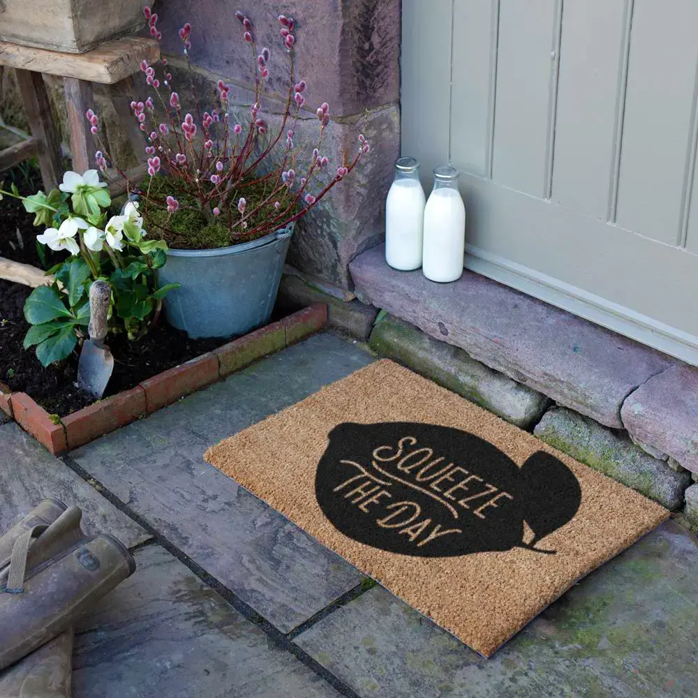Artsy Doormats Squeeze The Day Doormat