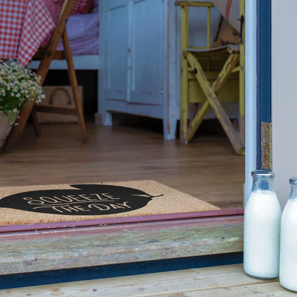 Artsy Doormats Squeeze The Day Doormat