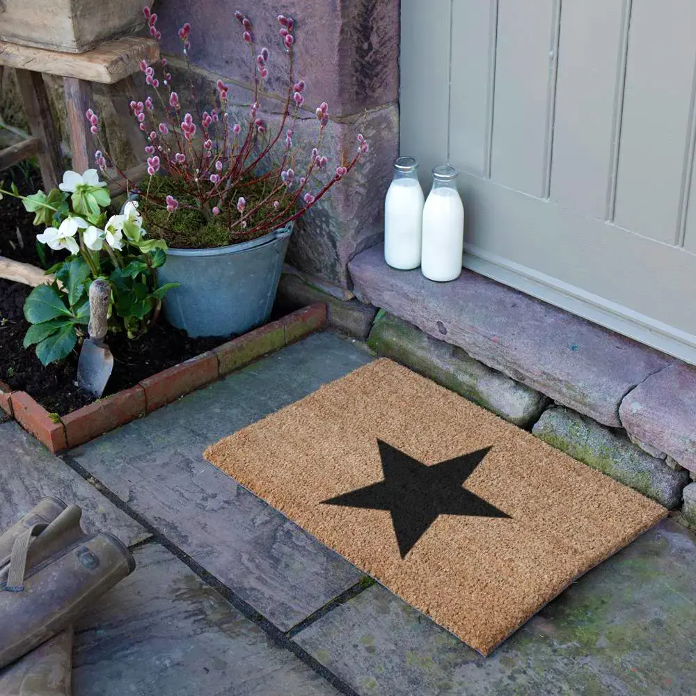 Artsy Doormats Star Doormat