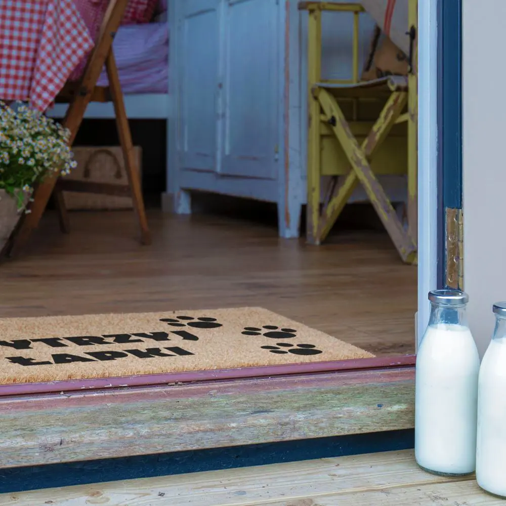 Artsy Doormats Wytrzyj Lapki Wycieraczka