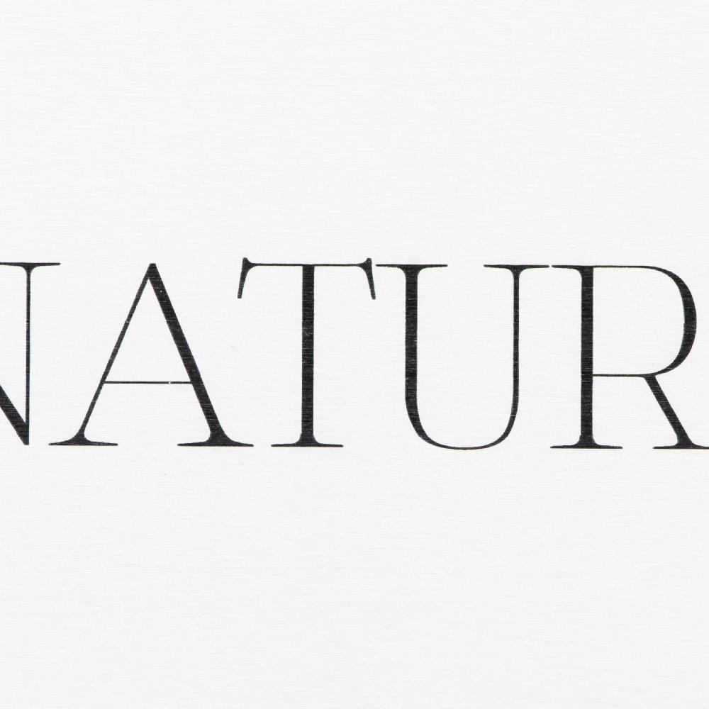 Artsy Doormats Au Natural White Stone Non Slip Bath Mat