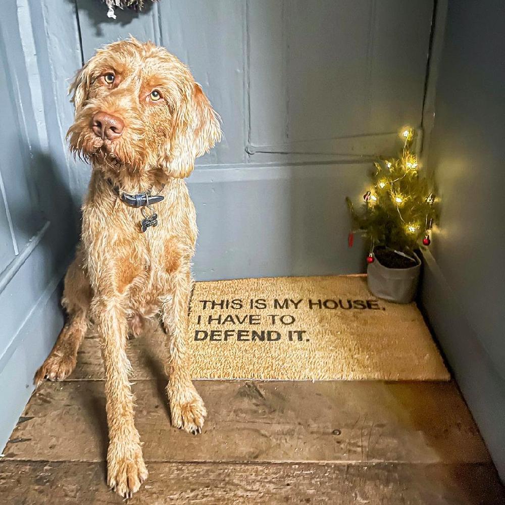 Artsy Doormats This Is My House I Have To Defend It Doormat