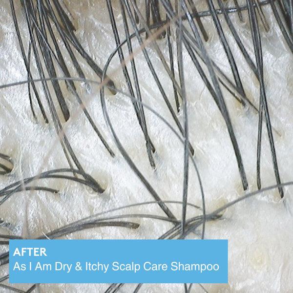 As I Am Dry & Itchy Scalp Care Shampoo
