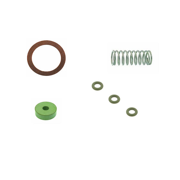 ascaso Ascaso DVG Steam Valve Rebuild Kit