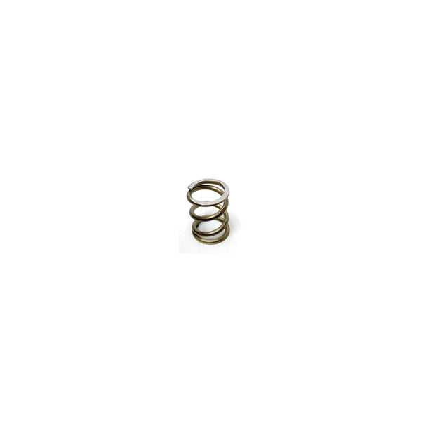 ascaso Ascaso Steam/water Wand Spring